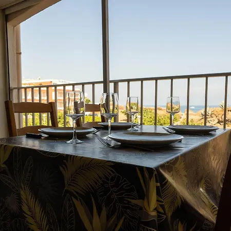 Apartment Bel 1 Chambre, Parking, Wifi, Climatisation - Fr-1-723-132